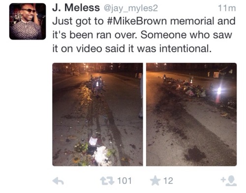 nosdrinker:  Mike Brown memorial destroyed adult photos