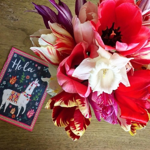 #HolaAmigos! #SpringIsHere #momsTulips #homegrown #flowerarrangement #tulips