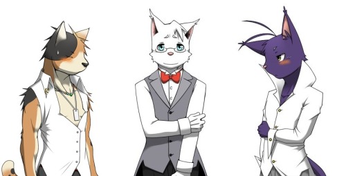 innocent-gamer-shun:  ~Neko Neko Neko~