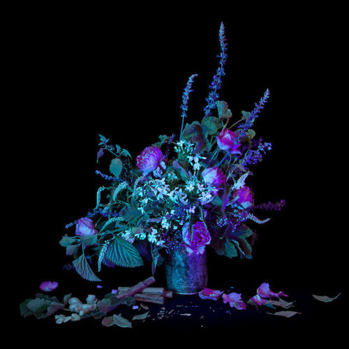 skelethoughts:  Amelia Bauer Right: To see Spirits, 2013. Left: For a man to attrack a woman he desires, 2013. 