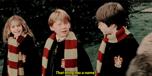 magicfolk: Who told you about Fluffy?