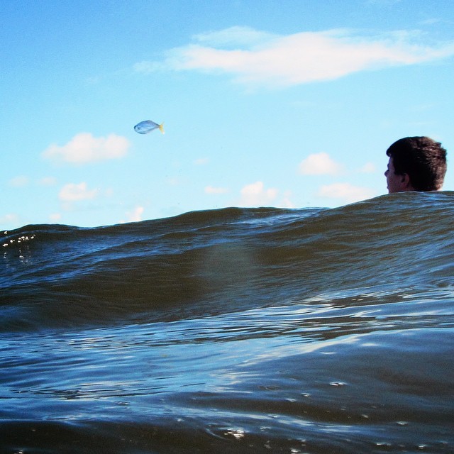 Flying fish!
#lovegalveston by bethebluebird http://galvtx.com/XA5rZj