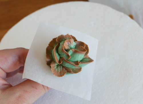 skauen: fleshcircus: sweetoothgirl: How to Make a Buttercream Succulent Cake Want @bernesemoun