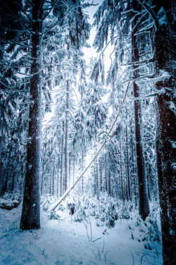 mountaineous: Winter is just beautiful - mountaineous taken at Feldberg, Schwarzwald, Germany 
