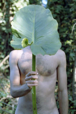 picsofyou:  Araceae with Canon Ft Ql follow