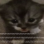 cryingsnailgoop
