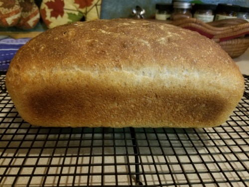 Bread!I&rsquo;m sure I made some mistakes and my oven&rsquo;s temp is still a bit fiddly but