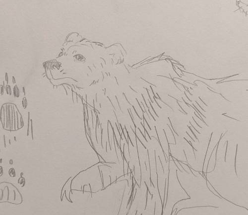 Beware, Beware, Be A Very Wary Bear (all I Can Think Of Posting Him)