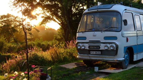 busmagicbus:The Majestic Bus has a beautiful wooden floor, painted pine boarding and a well thought-