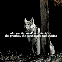jonbran:   Summer’s howls were long and sad, full of grief and longing. Shaggydog’s