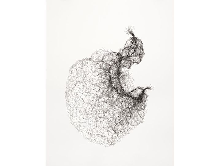 7knotwind:  Susie MacMurray | +hairnet drawings 