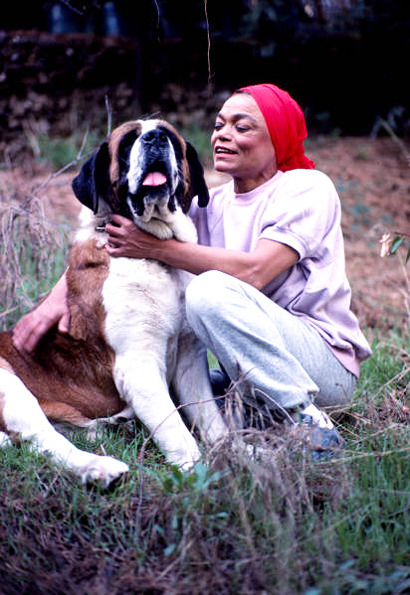 Eartha Kitt photographed by Paul Harris, 1982