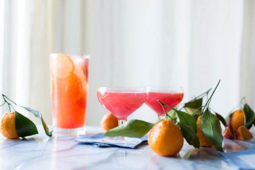 sweetoothgirl:    sparkling citrus, lillet & prosecco punch  
