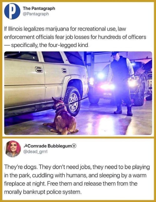 weedbrownie: everyone with fucking sense: hey plz legalize maryjuana and release the black people wh