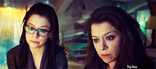 The smart one and the wild one