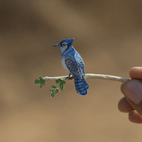 Miniature Paper Birds by nvillustration