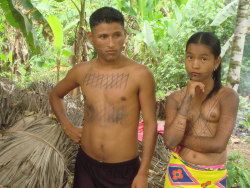   Embera, by Thierry Leclerc.  