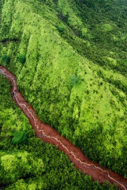 ponderation:Aerial view of a mud river, Kauai