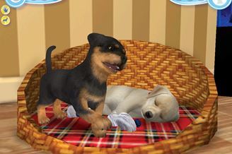 petz 5 mac petz 5 mac