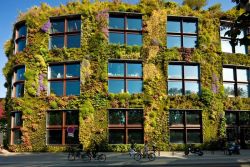 scienceyoucanlove:   abluegirl:  Living Wall  These vegetated surfaces don’t just look pretty. They have other benefits as well, including cooling city blocks, reducing loud noises, and improving a building’s energy efficiency.What’s more, a recent