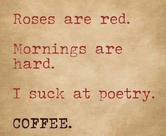 Your Coffee Guru