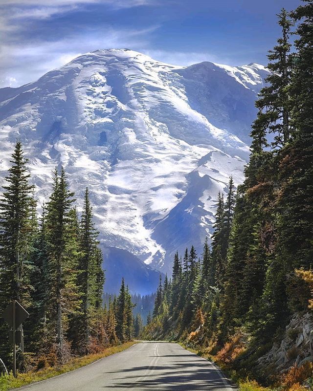 mtrainierwatch:  Views of The Mountain abound in Mount Rainier National Park. 😍😍