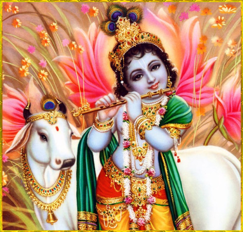 krishnaart: GOPAL KRISHNA ॐ careforcows.org/Hare Krishna Hare Krishna Krishna Krishna Hare Ha