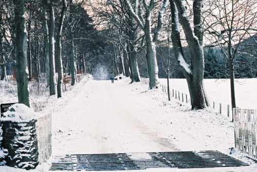 Porn englishsnow:  { Scotland }  photos