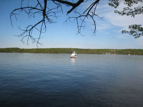 Black Creek Preserve, NY