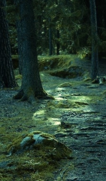 Blue Forest, Linkoping, Sweden