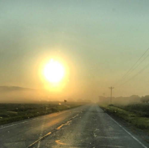 The Ground Fog Over The Fields Was Magical As We Drove Through Rural Indiana This Morning. Road Trips