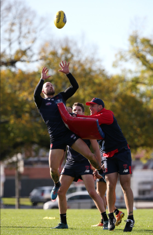 roscoe66:   Nathan Jones of the Melbourne Demons  