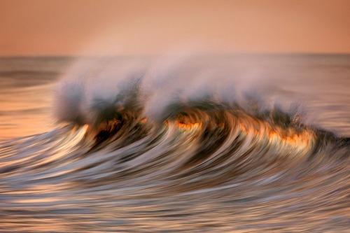 asylum-art:  David Orias’s California Waves Facebook | 500px Golden waves and other