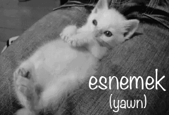 learningturkish:Turkish word:esnemek - to yawn 