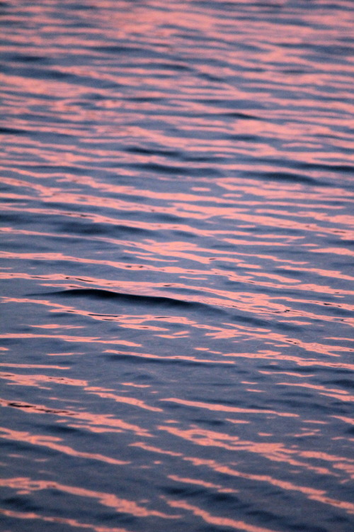The most pink dappled water i’ve seen before. This sunset over Surfers Paradise, Gold Coast, A