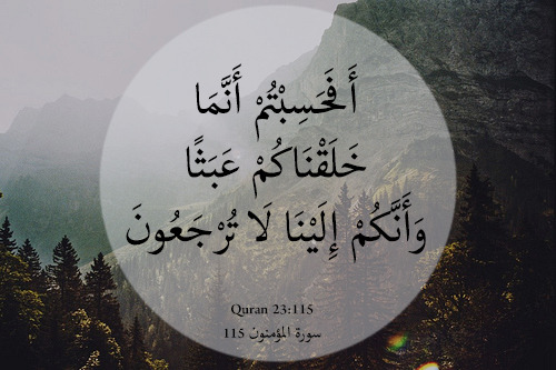 Quran 23:115
“أَفَحَسِبْتُمْ أَنَّمَا خَلَقْنَاكُمْ عَبَثًا وَأَنَّكُمْ إِلَيْنَا لَا تُرْجَعُونَ”
“Do you then think We created you merely for play and that you would not be returned to Us? (Quran 23:115)”
Originally found on: 3shg-1