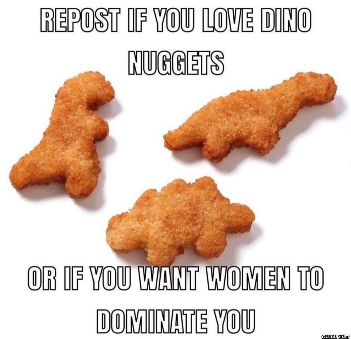 REPOST IF YOU LOVE DINO...