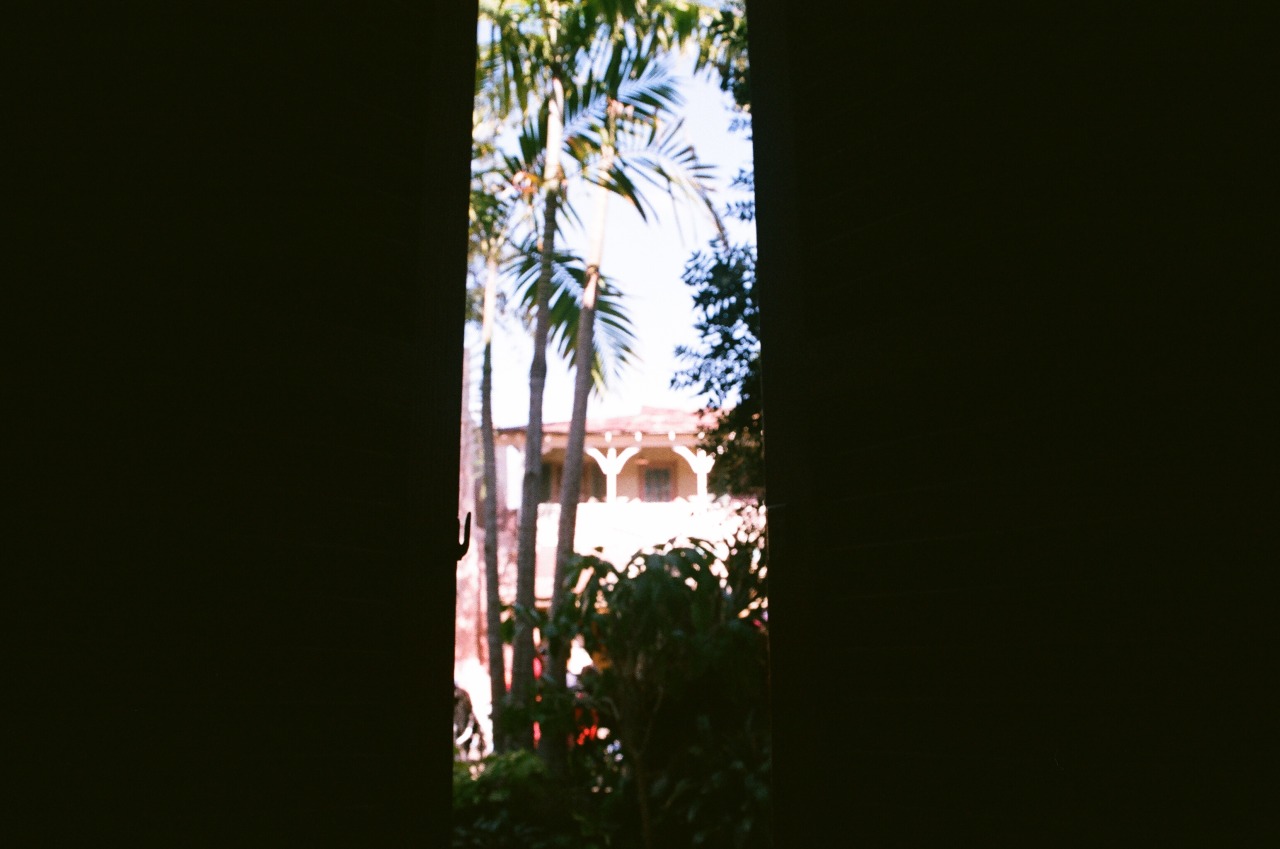 jungle-cruise-4-tumblr-gallery