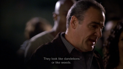 The man faces to the right. Several people are standing behind him. The subtitle at the bottom of the image reads: "They look like dandelions or like weeds."