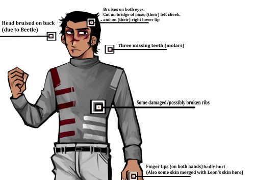 Updated Ryker Dublin 8:11 Reference Sheets!