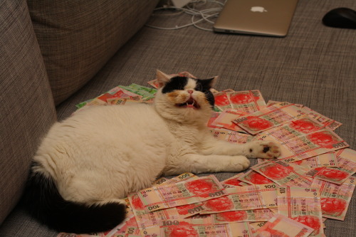 sirbainbridge:  Moohahahaha  You flash that cash. 