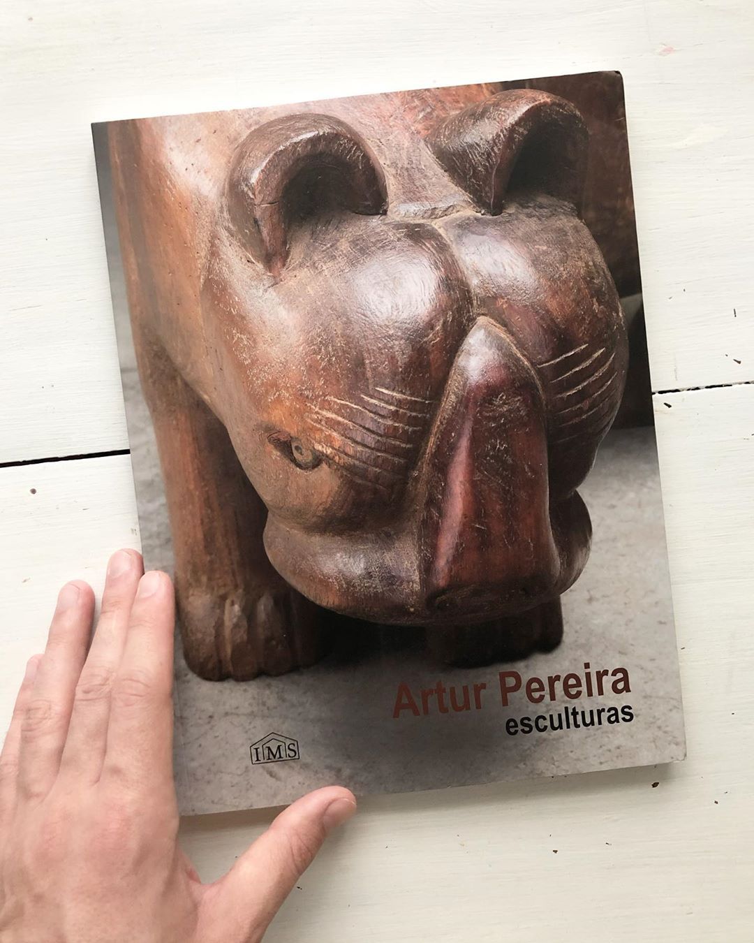 ARTE POPULAR. Ulisses Pereira Chaves - ( Caraí, 15 de m