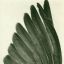 windrule
