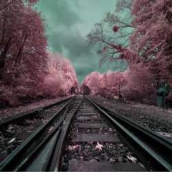 opticallyaroused:   Gorgeous Infrared Landscapes