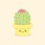 oxcactixo