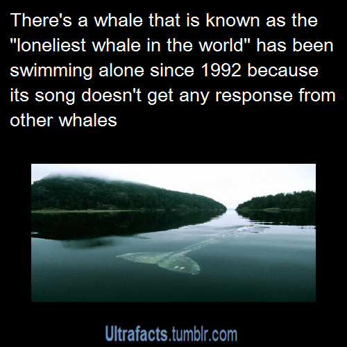 aerithsbabe: gwydtheunusual:  ultrafacts:  Source For more facts follow Ultrafacts  I always reblog 