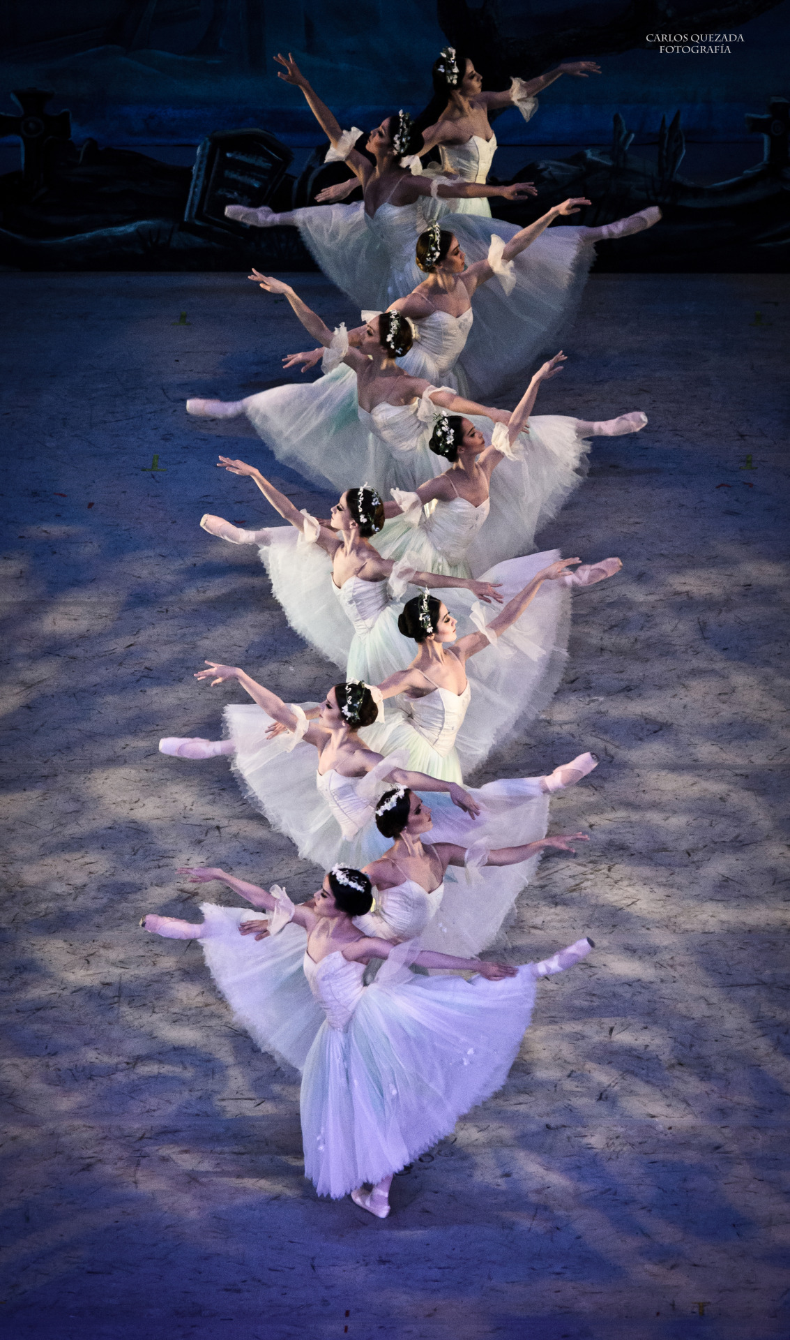 carlosquezadaph:  Compañía Nacional de Danza . México  Giselle . Willis Corps