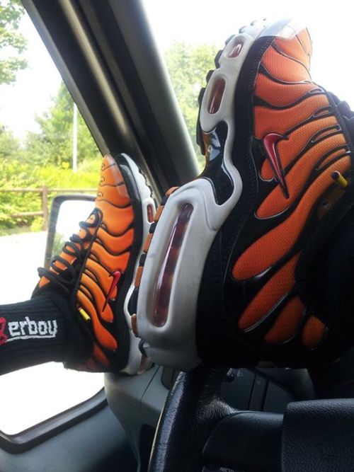 Lordguy Socks