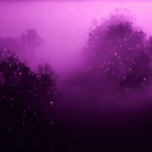 Assassins can fly — Purple Dreaming 💜 gifs made by me :)