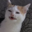 embarrassmental:  narcotic:  what if people named their kids when they turn 18 so the kid has a name that fits its personality   